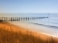 Picture of OCEAN 31