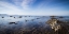 Picture of OCEAN 47