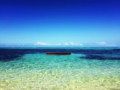 Picture of OCEAN 49