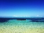 Picture of OCEAN 49