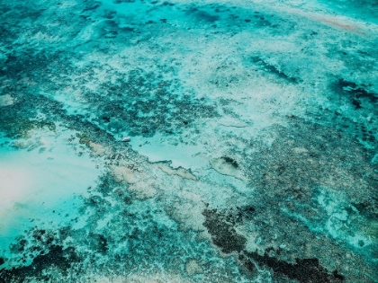 Picture of OCEAN 58