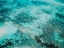 Picture of OCEAN 58