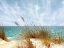 Picture of OCEAN 63
