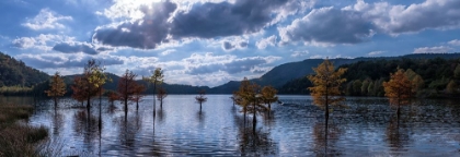 Picture of OCOEE LAKE PANO