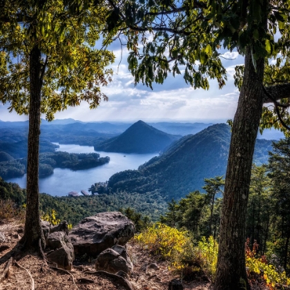 Picture of OCOEE VIEW