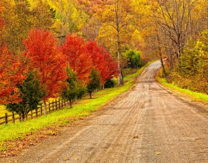 Picture of OLD COUNTRY ROAD