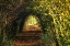 Picture of PATHWAY