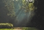 Picture of PATHWAY 4