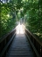 Picture of PATHWAY 6