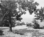 Picture of POINT PARK VISITORS EARLY 1900S
