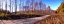 Picture of PRENTICE ROAD PANO