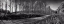 Picture of PRENTICE ROAD PANO BW
