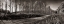 Picture of PRENTICE ROAD PANO SEPIA