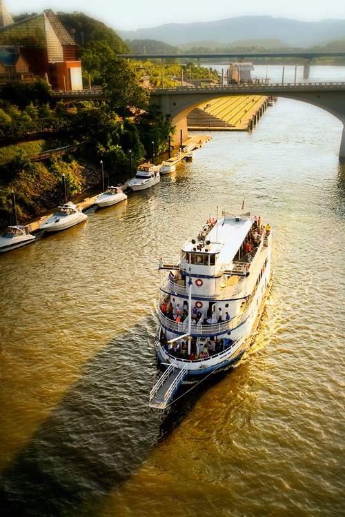 Picture of RIVER BOAT CRUISE