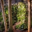 Picture of ROCKS 4