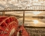 Picture of SCENIC CITY 106