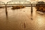 Picture of SCENIC CITY 21