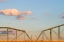 Picture of SCENIC CITY 55