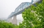 Picture of SCENIC CITY 81