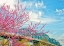 Picture of SCENIC CITY 91