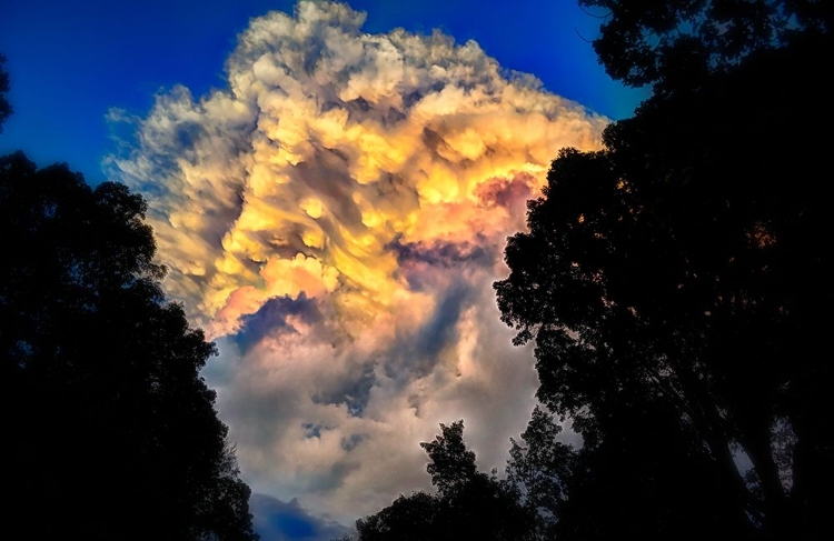 Picture of SIGNAL CLOUD