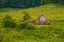 Picture of SMOKIES BARN