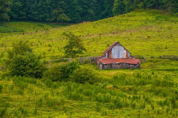 Picture of SMOKIES BARN