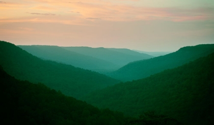 Picture of SMOKIES TWILIGHT