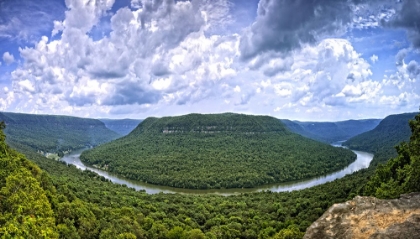 Picture of SNOOPERS ROCK SUMMER