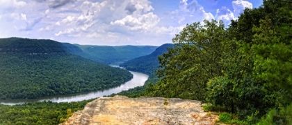 Picture of SNOOPERS ROCK SUMMER 2