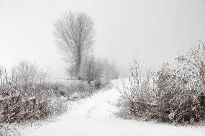 Picture of SNOWY FARM