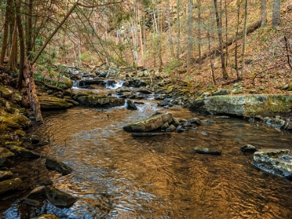 Picture of STINGING FORK CREEK 3