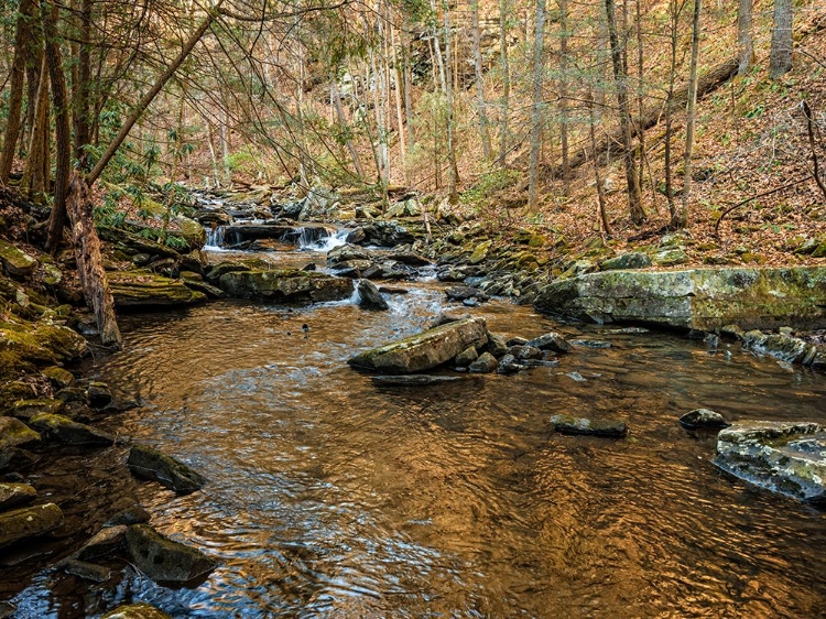 Picture of STINGING FORK CREEK 3