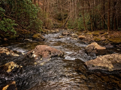 Picture of STINGING FORK CREEK 4