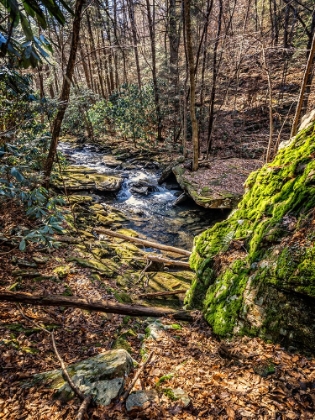 Picture of STINGING FORK CREEK 6