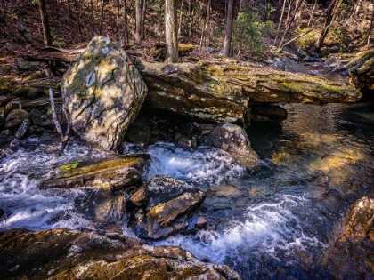 Picture of STINGING FORK CREEK 7