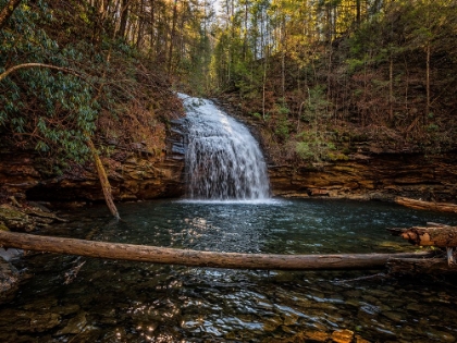 Picture of STINGING FORK FALLS 1