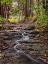Picture of STREAM 20