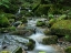 Picture of STREAM 9