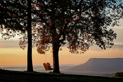 Picture of SUNRISE SWING LOOKOUT