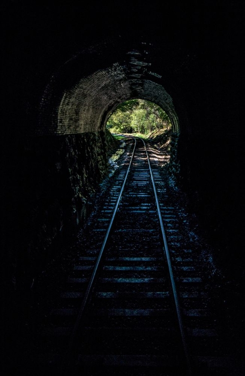 Picture of TRAIN ENTER TUNNEL 2