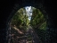 Picture of TRAIN ENTER TUNNEL 3