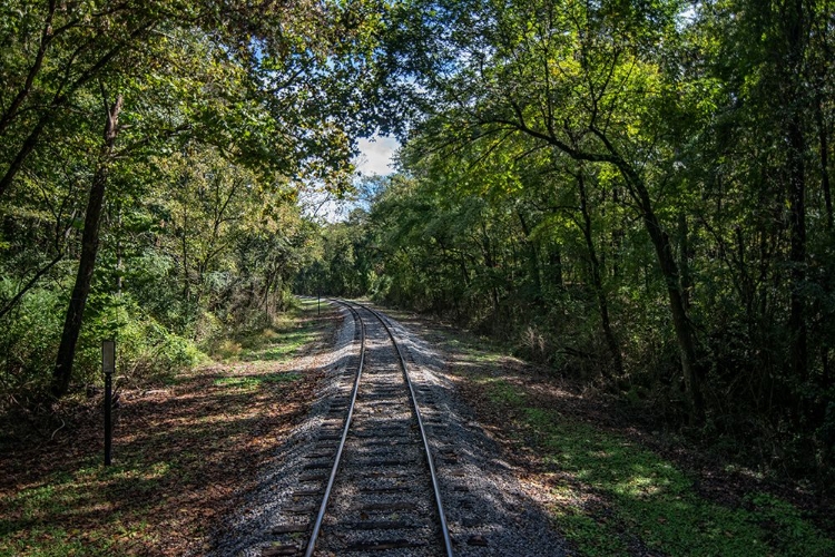 Picture of TRAIN TRACK 1