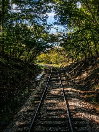 Picture of TRAIN TRACK 2