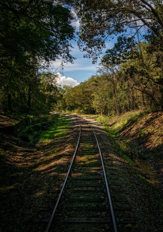 Picture of TRAIN TRACK 3