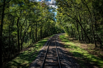 Picture of TRAIN TRACK 5