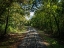 Picture of TRAIN TRACK 6