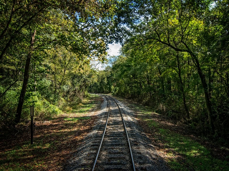 Picture of TRAIN TRACK 6