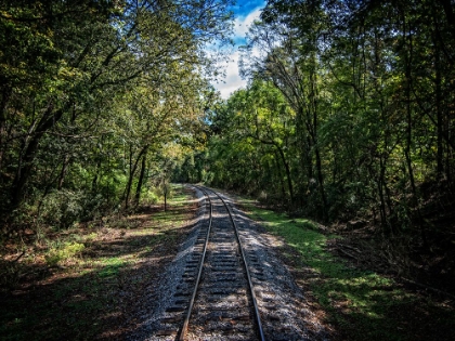 Picture of TRAIN TRACK 7