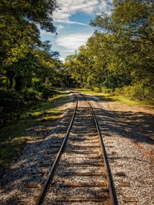 Picture of TRAIN TRACK 8